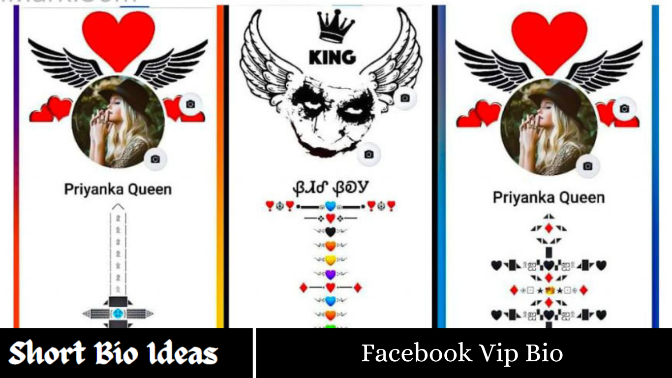 Facebook Vip Bio