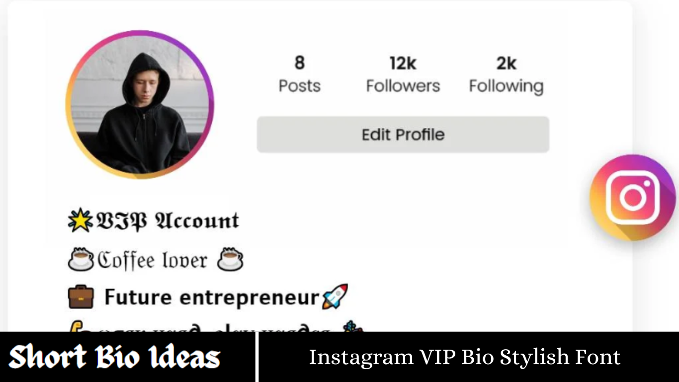 Instagram VIP Bio Stylish Font