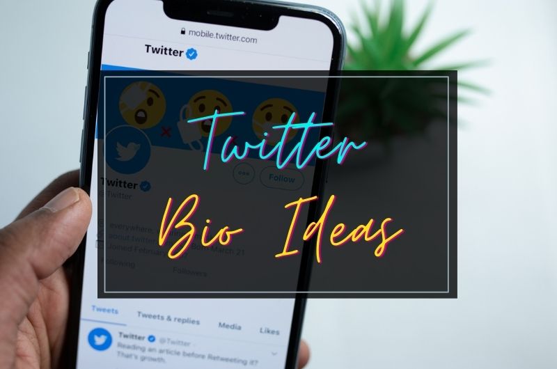 Cool Twitter Bio Ideas to Showcase Your Personality